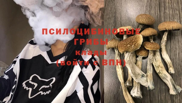 герыч Алексин