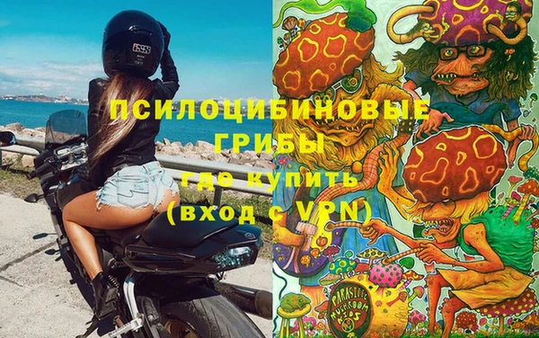 соль ск Алзамай