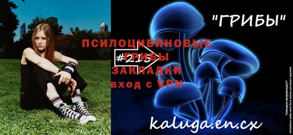 соль ск Алзамай