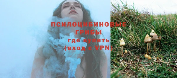 соль ск Алзамай