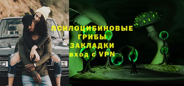 герыч Алексин